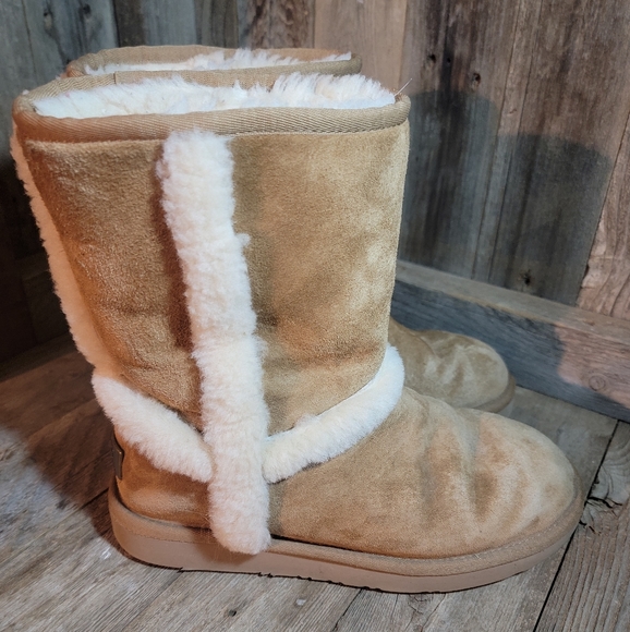 Ugg Australia Carter boots - Picture 3 of 5